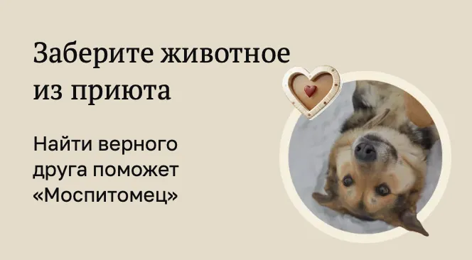 Моспитомец