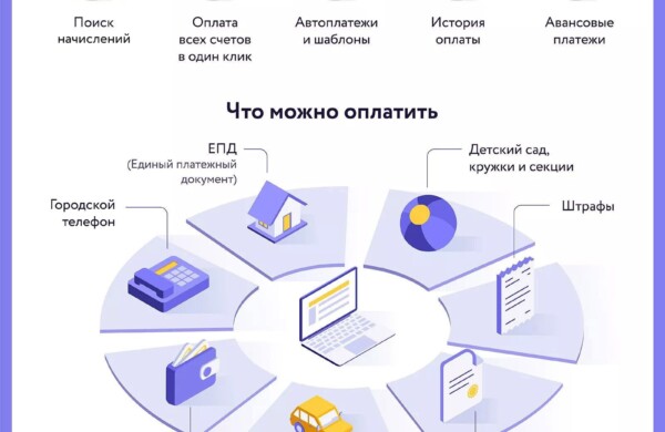 Услуги и сервисы mos.ru для спокойной жизни на даче: что будет полезно за городом