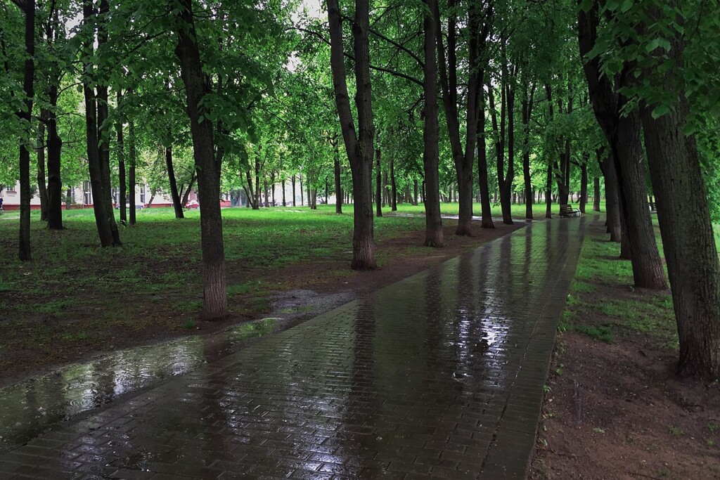 лучшие парки москвы