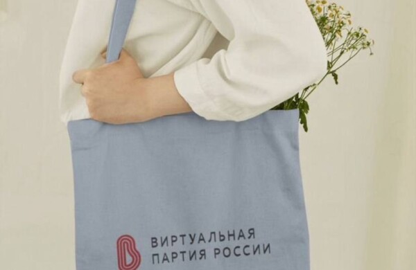 От товарного знака до ИИ-агента: на Авито появился необычный лот — политическая партия
