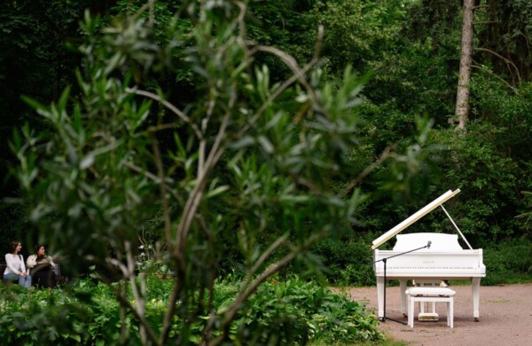 В большом розарии парка «Сокольники» пройдет цикл живых концертов