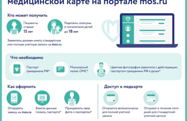 Какие услуги социальной сферы можно получить на портале mos.ru