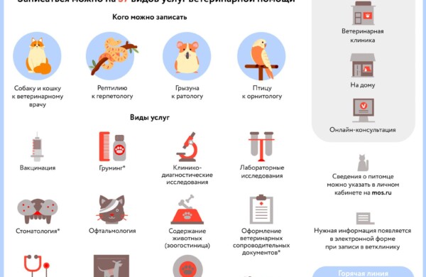Как современная ветеринария меняет жизнь владельцев животных в Москве