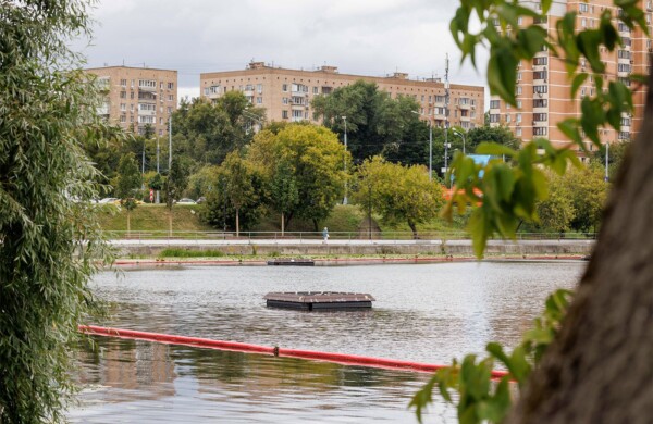 В Москве разработали плавучие модули для сокращения распространения сине-зеленых водорослей