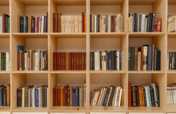 В Суздале открылась Библиотека искусств, созданная на основе собрания книг Дмитрия Сарабьянова